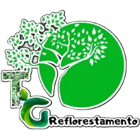 TG Reflorestamento